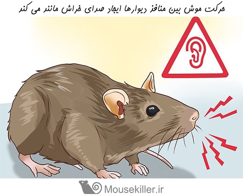 نشانه های تهاجم موش